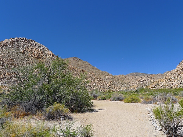 Scenery from the Boy Scouts trail hike in Joshua Tree National Park, California