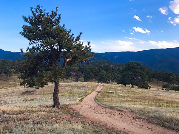 Scenery from the Betasso Preserve hike near Boulder, Colorado