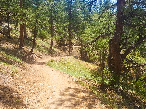 Scenery on the Lair o' the Bear Park hike near Denver, Colorado