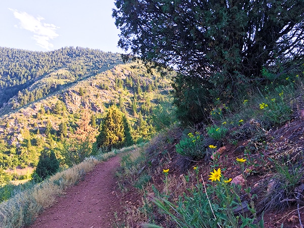 Trail of the Centennial Cone Park hike in Denver, Colorado