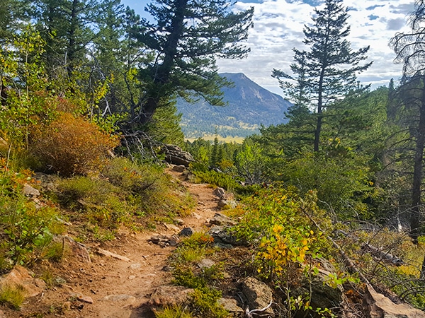 Trail of the Beaver Meadows Loop hike in Rocky Mountain National Park, Colorado