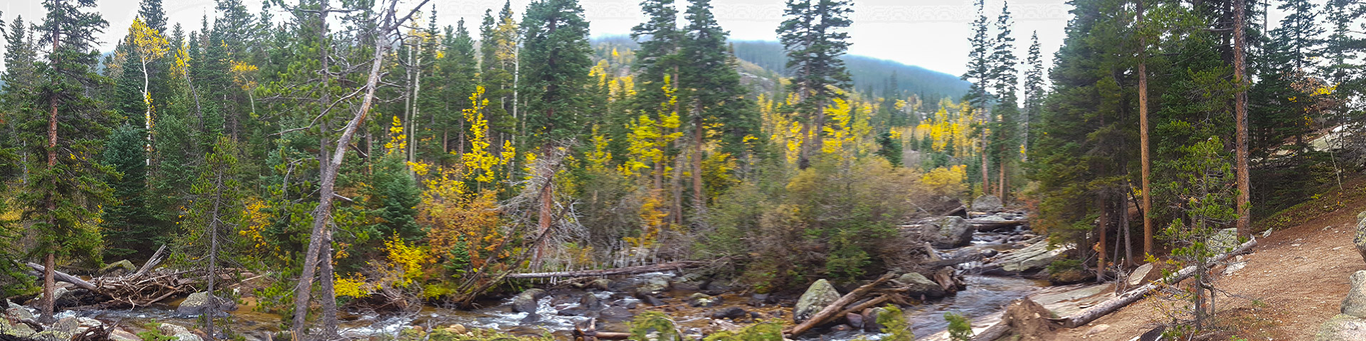 Panorama from the Ouzel Falls hike in Rocky Mountain National Park, Colorado