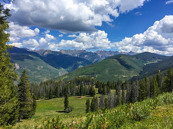 Trail of the Berrypicker Trail hike in Vail, Colorado