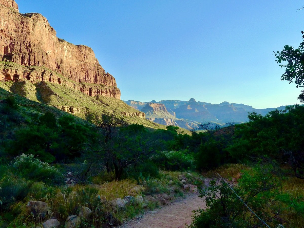 Oasis from the Bright Angel Trail Hike in Grand Canyon National Park, Arizona