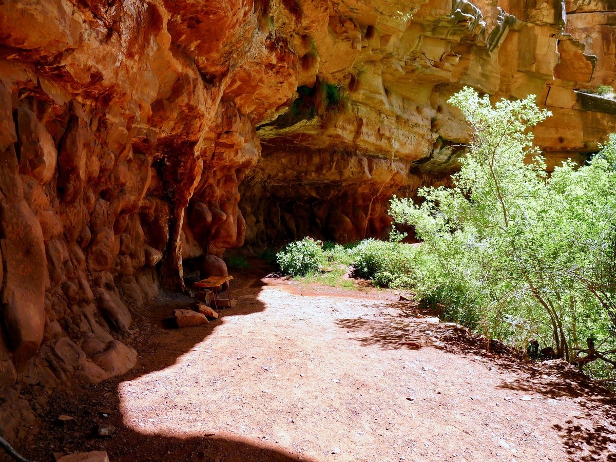 Shade beside the springs on the Dripping Springs Hike in Grand Canyon National Park, Arizona
