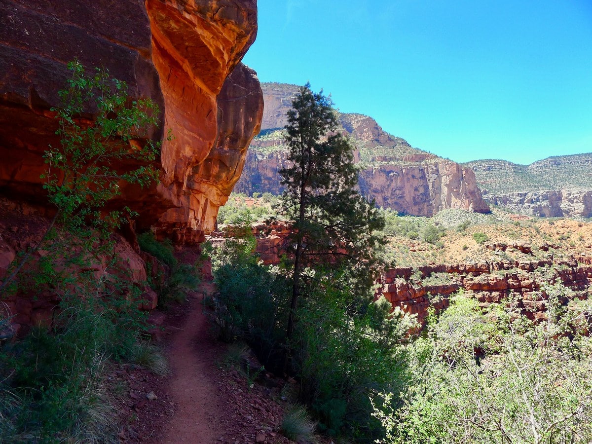 Shade along the switchbacks on the Santa Maria Springs Hike in Grand Canyon National Park, Arizona