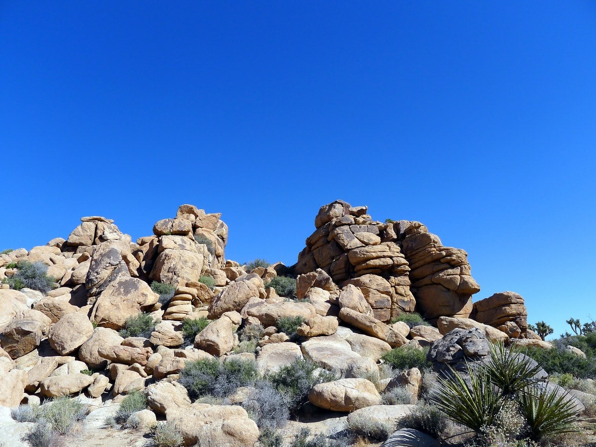 Rock formation on the Boy Scouts Trail Hike in Joshua Tree National Park, California