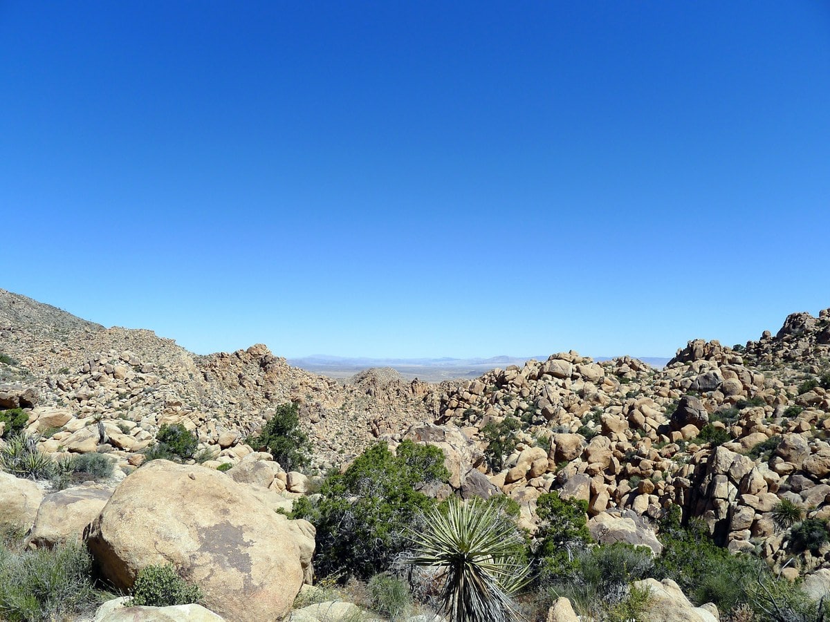 Monzogranite rock formations on the Boy Scouts Trail Hike in Joshua Tree National Park, California