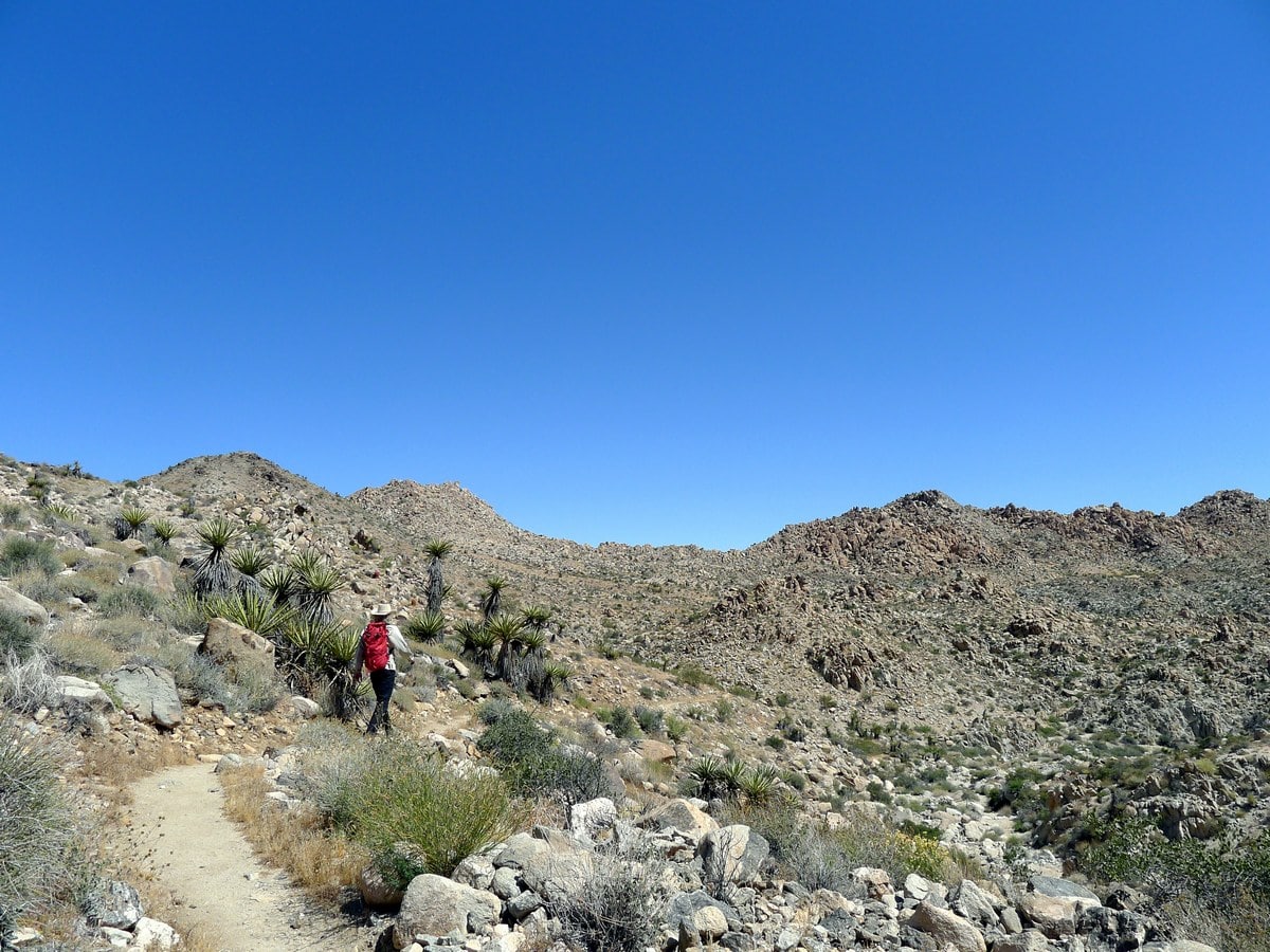 Traversing the range separating the planes on the Boy Scouts Trail Hike in Joshua Tree National Park, California