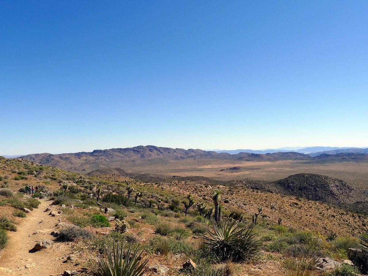 Looking back along the summit ridgeline from the Ryan Mountain Hike in Joshua Tree National Park, California