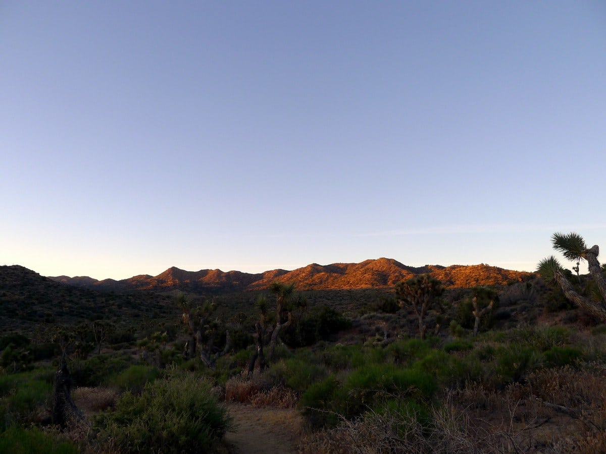 Views from the Warren Peak Hike in Joshua Tree National Park, California