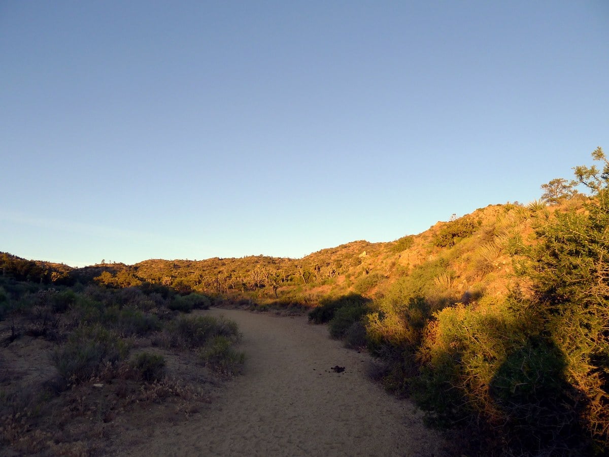 Views from the Warren Peak Hike in Joshua Tree National Park