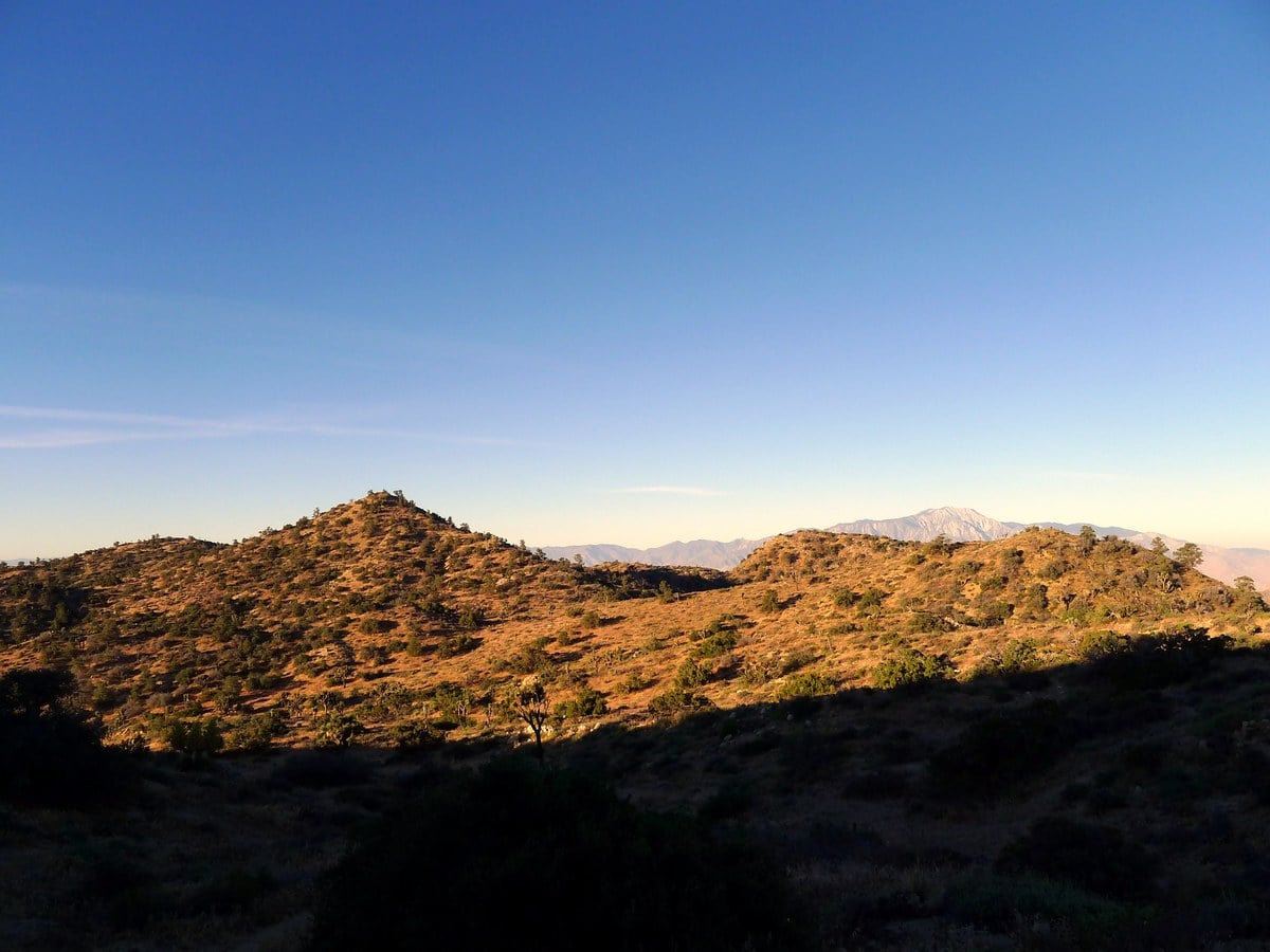 View along the ridgeline of the Warren Peak Hike in Joshua Tree National Park, California