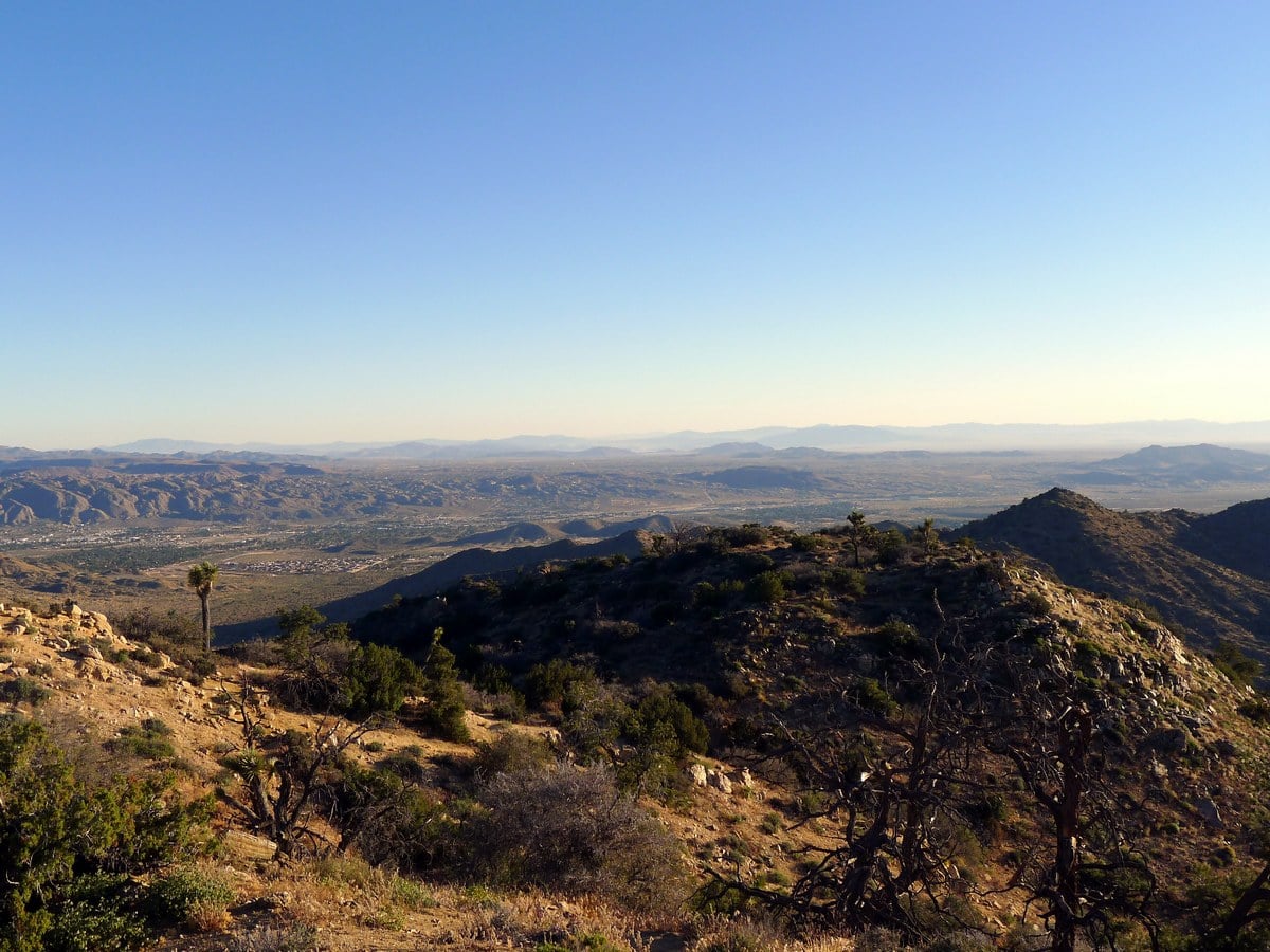 Looking north from the Warren Peak Hike in Joshua Tree National Park, California