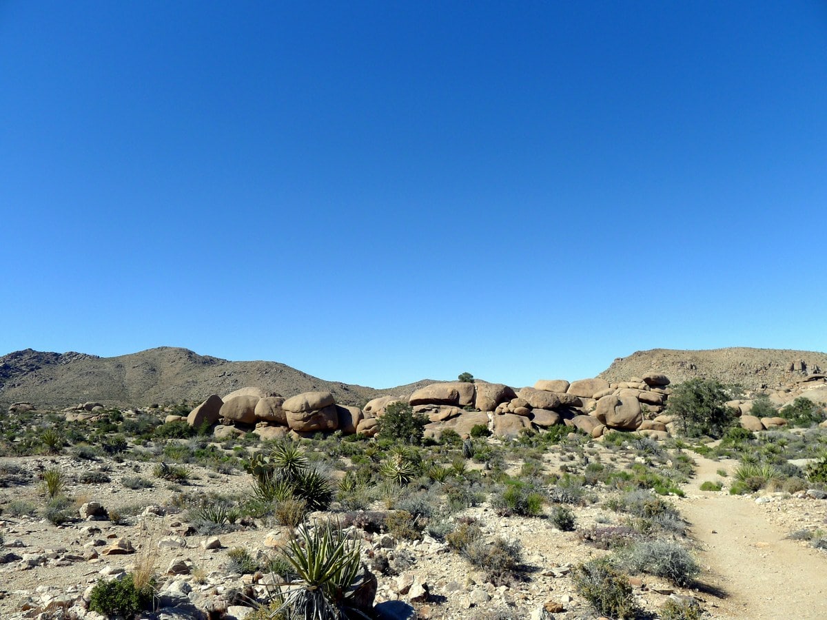 Rock formations along the Pine City Hike in Joshua Tree National Park, California