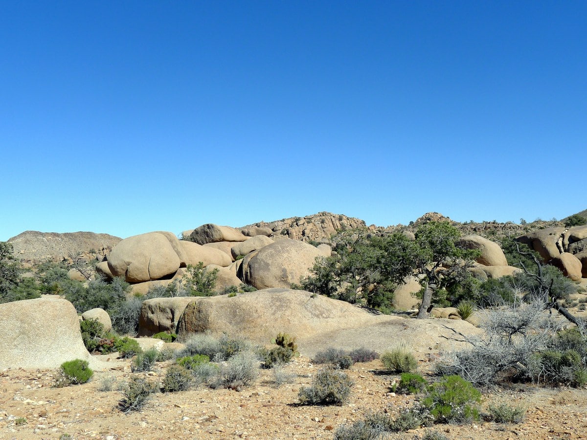 Monzogranite rock on the Pine City Hike in Joshua Tree National Park, California