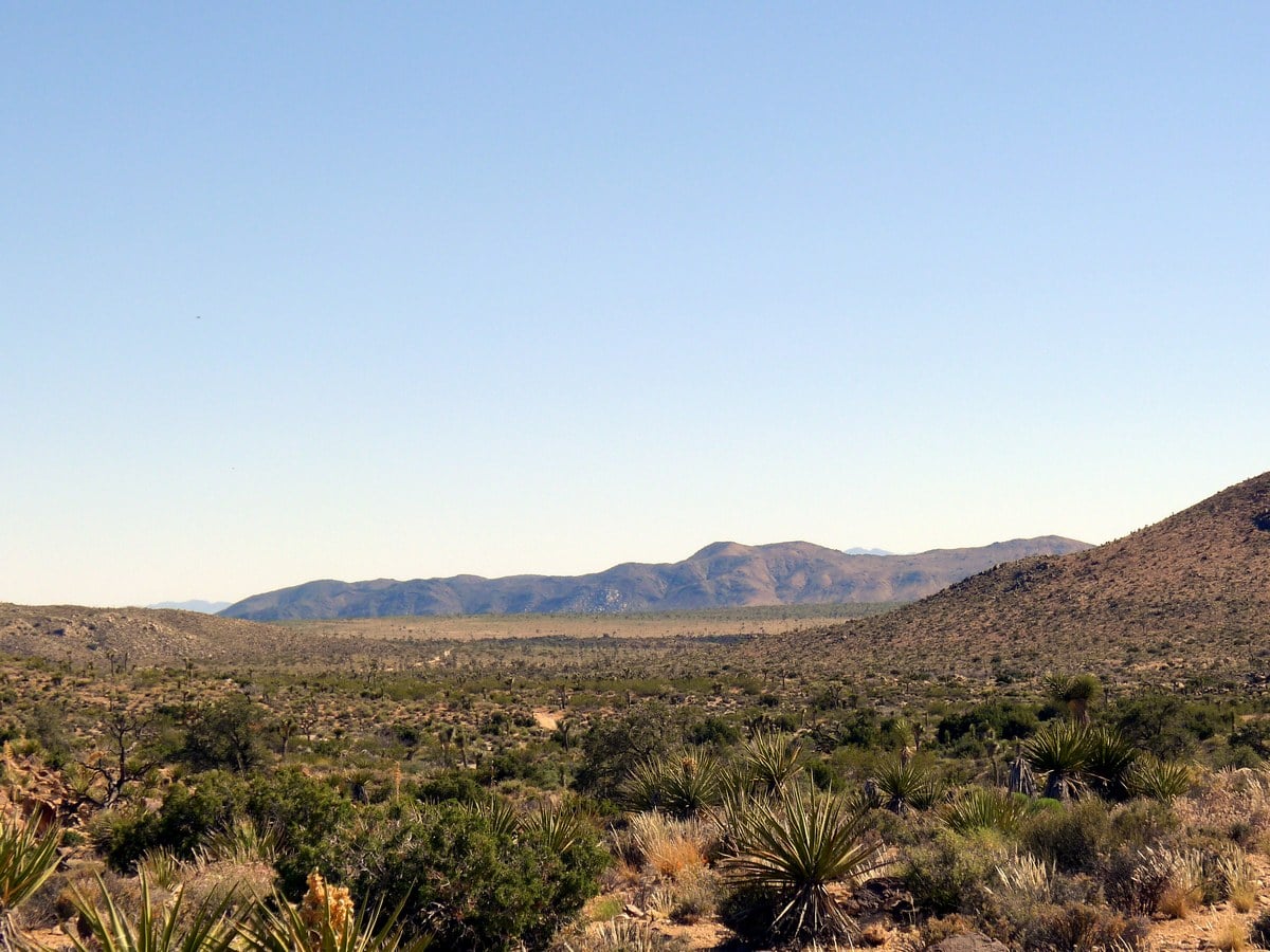 Mountains in the distance from the Pine City Hike in Joshua Tree National Park, California