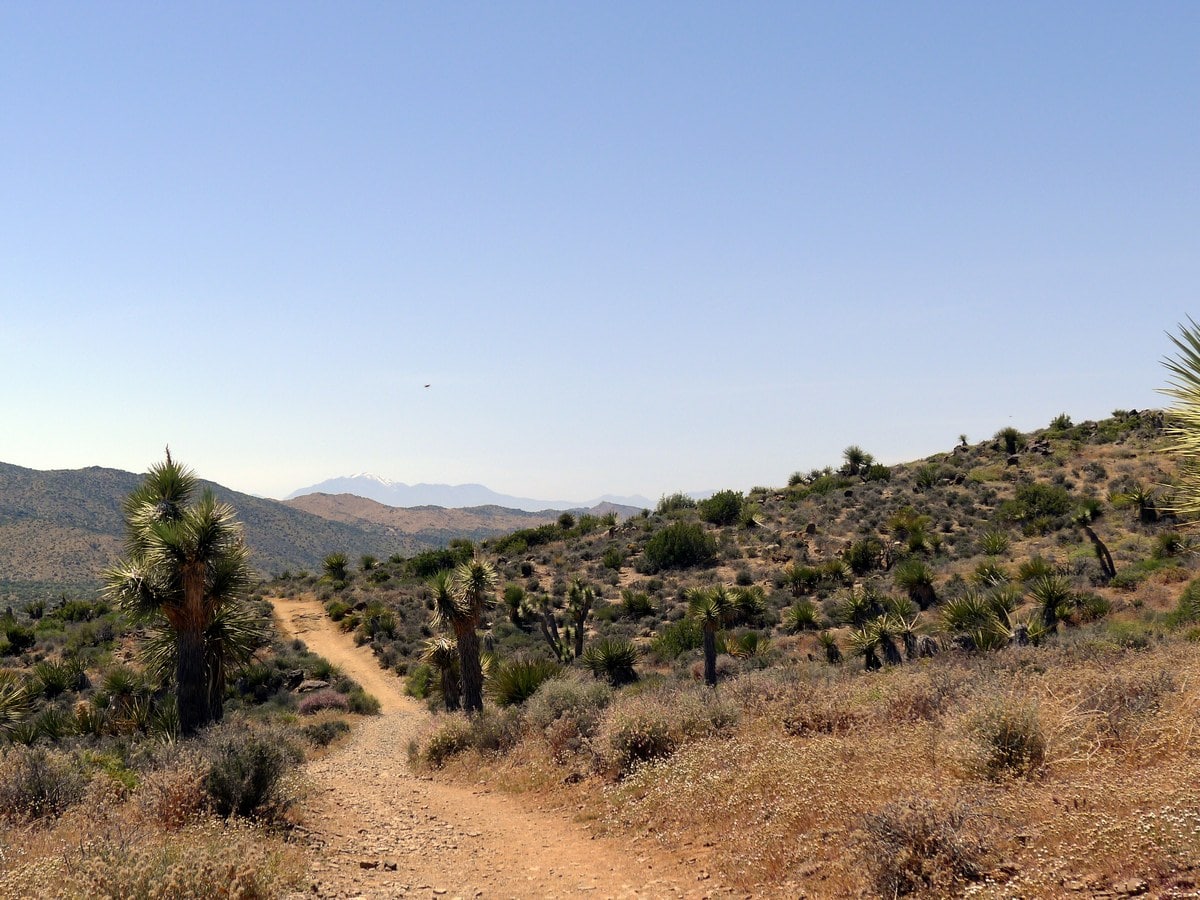 Looking back from the Lost Horse Loop Trail Hike in Joshua Tree National Park, California