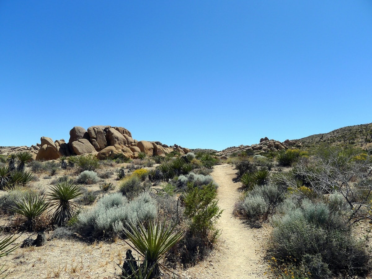 Views of the Split Rock Trail Hike in Joshua Tree National Park, California