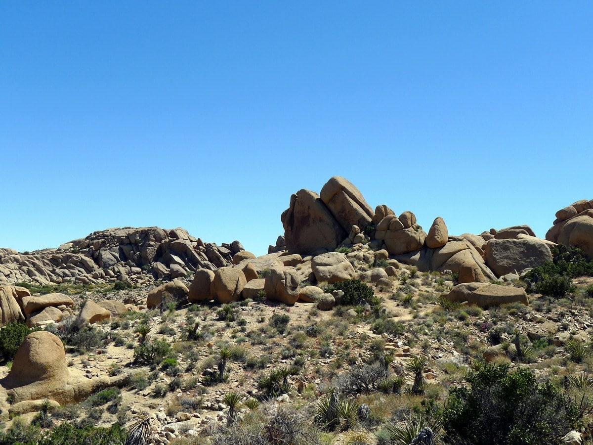 Monzogranite rocks on the Split Rock Trail Hike in Joshua Tree National Park, California