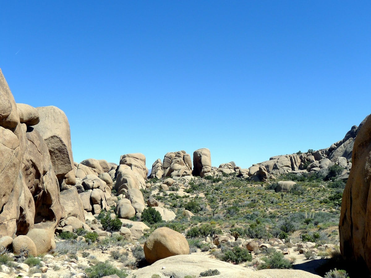 Views from the Split Rock Trail Hike in Joshua Tree National Park, California
