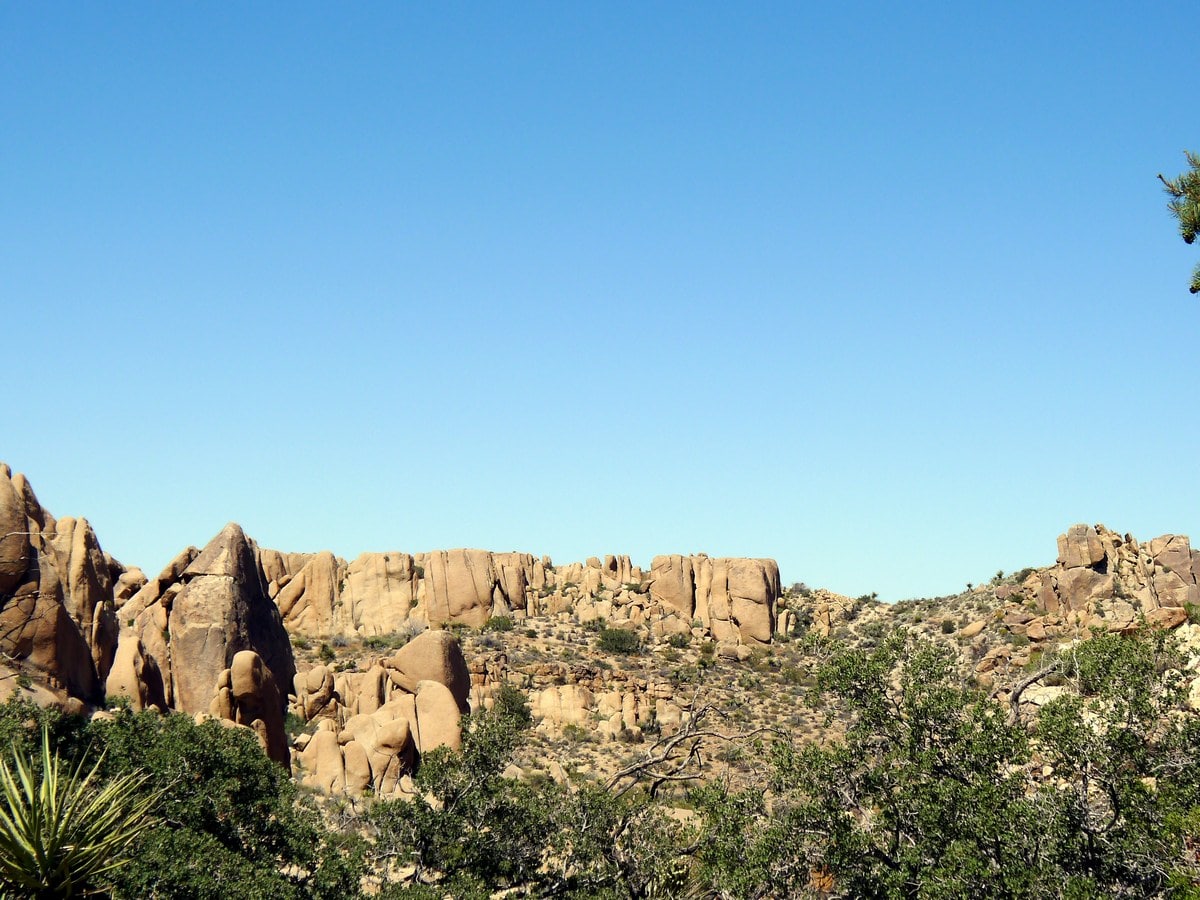 Cliffs in the distance looking from the Split Rock Trail Hike in Joshua Tree National Park, California