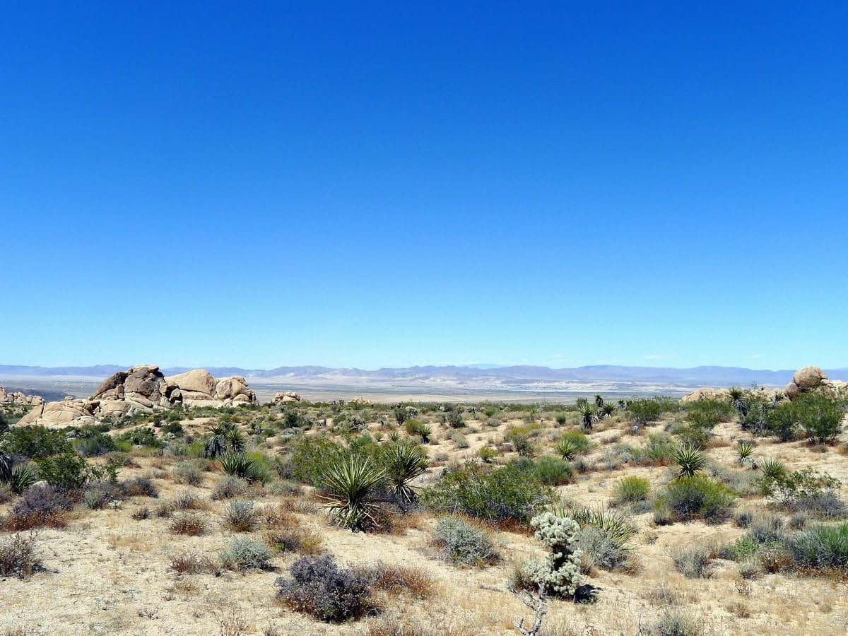View towards the valley and city from the Indian Cove Nature Loop Hike in Joshua Tree National Park, California