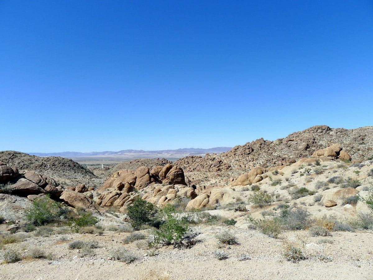 Beginning views of the 49 Palm Oasis Hike in Joshua Tree National Park, California