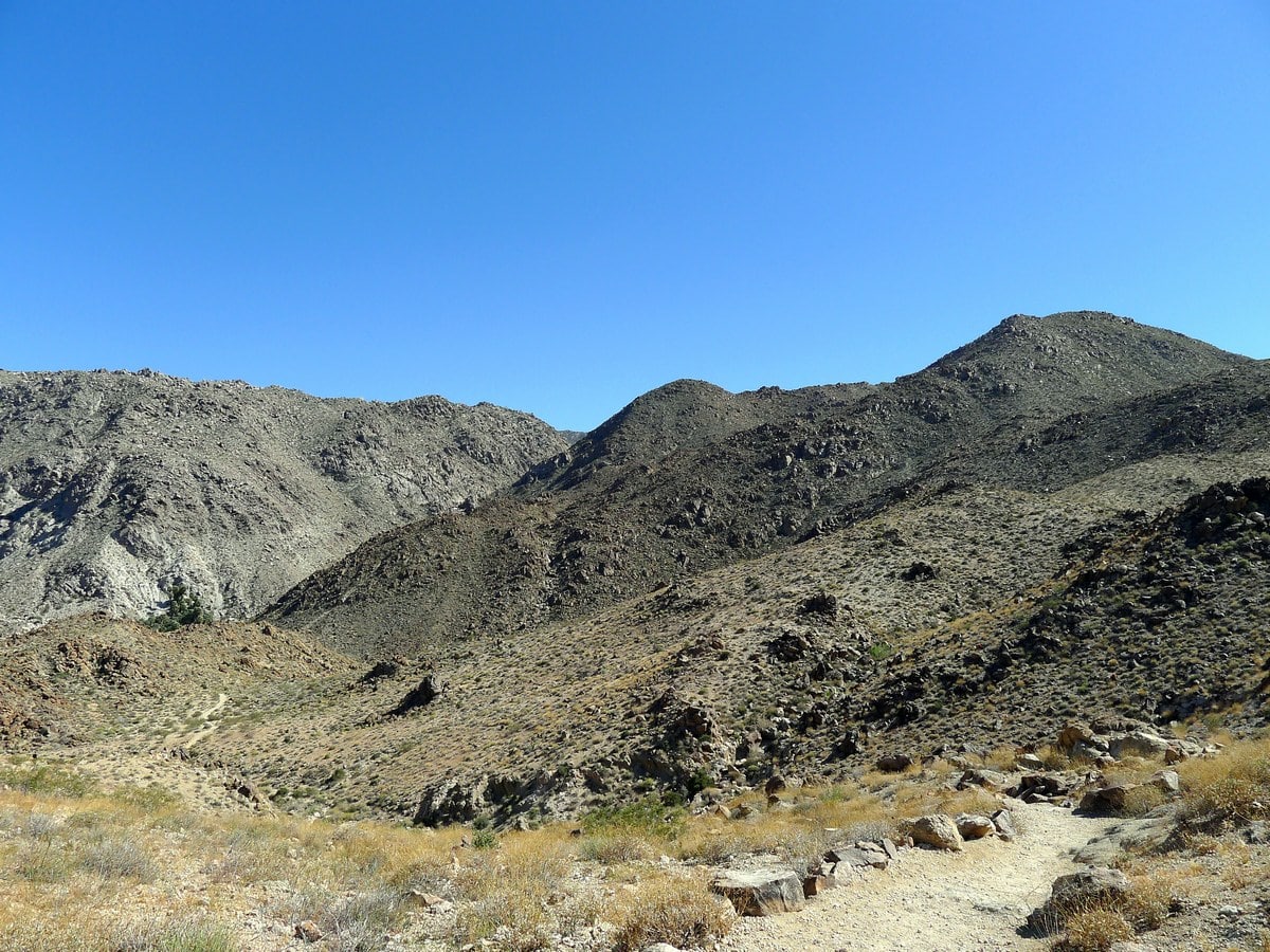 Descending on the 49 Palm Oasis Hike in Joshua Tree National Park, California