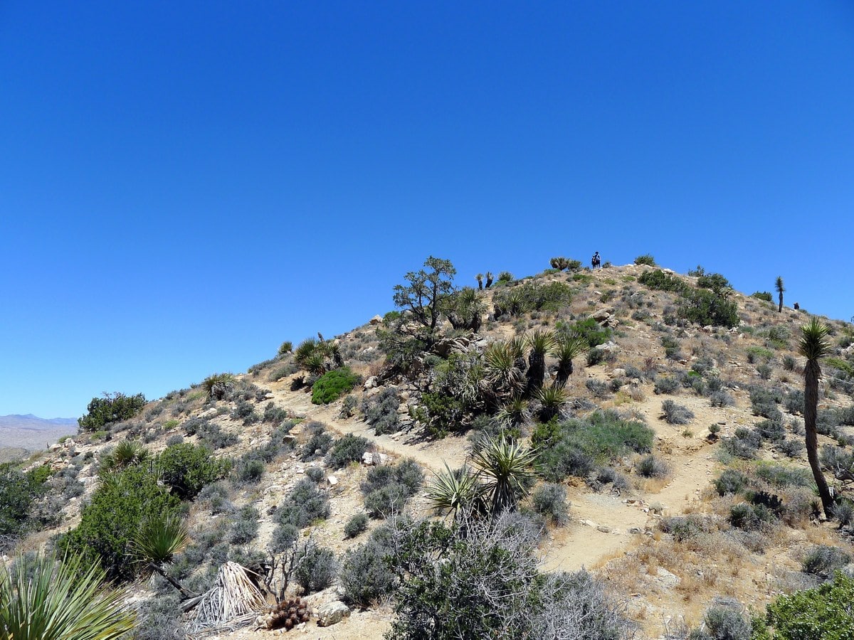 View from the summit looking north on the High View Trail Hike in Joshua Tree National Park, California