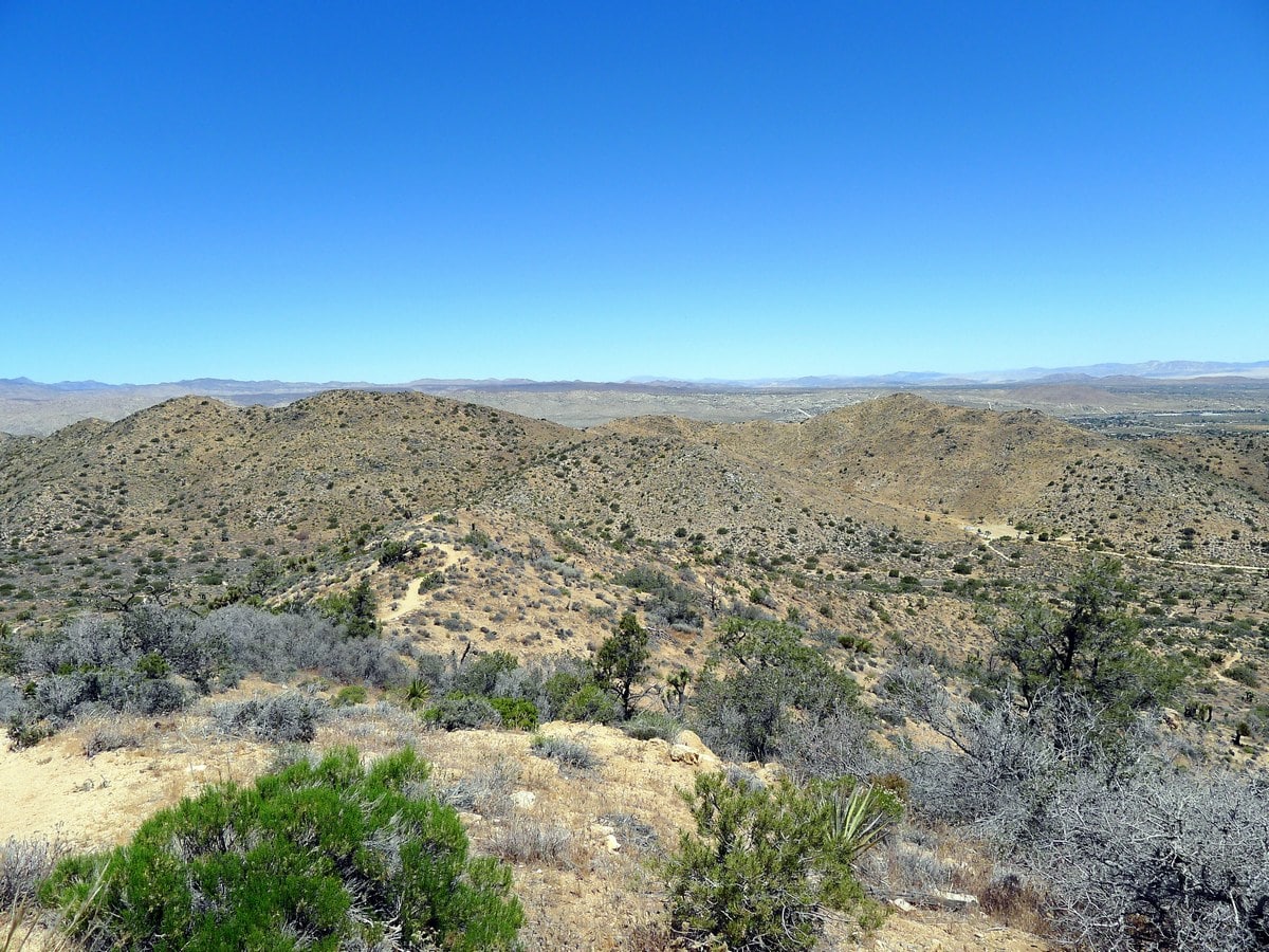 View towards the campground on the High View Trail Hike in Joshua Tree National Park, California