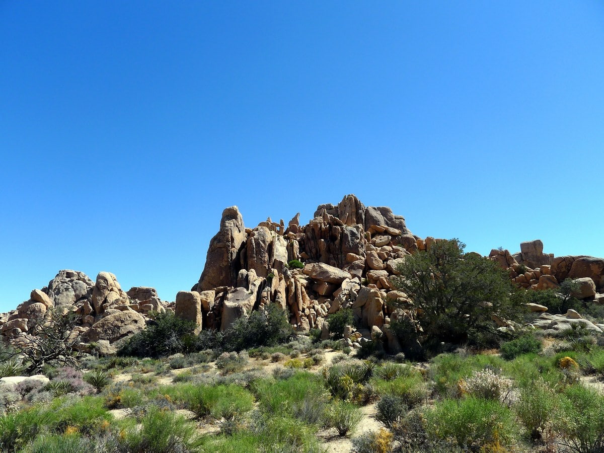 Monzogranite rock formations on the Hidden Valley Loop Hike in Joshua Tree National Park, California