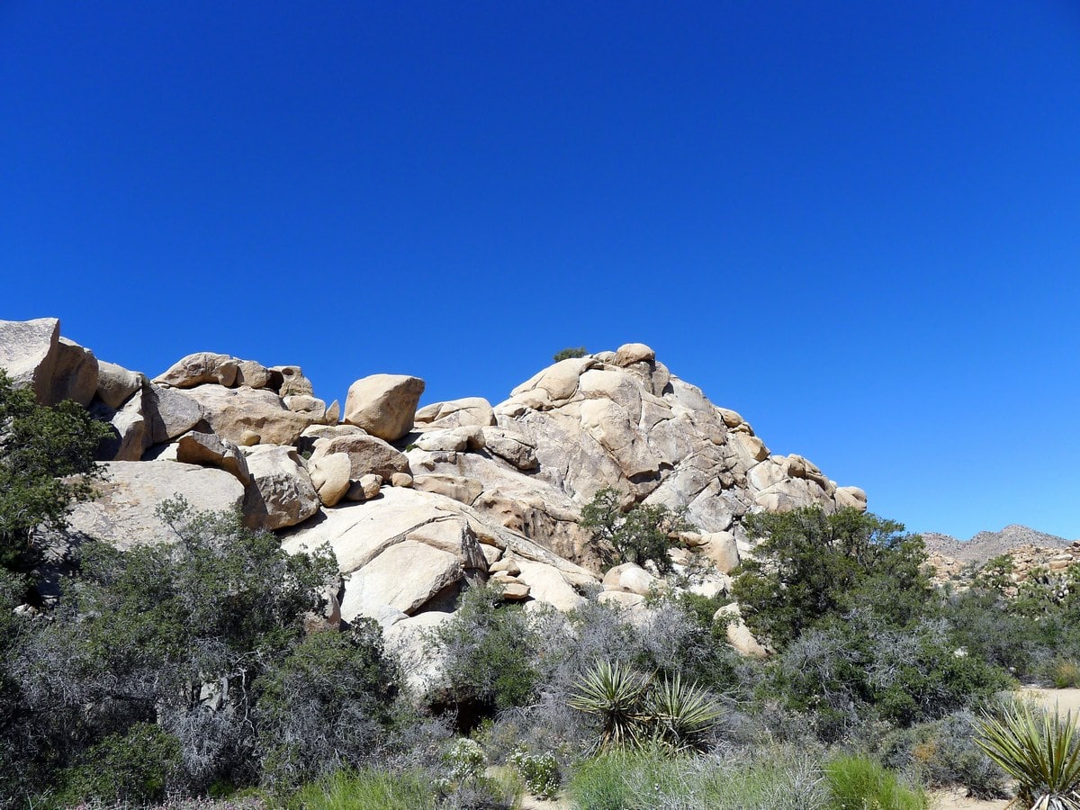 Looking across the valley from the Hidden Valley Loop Hike in Joshua Tree National Park, California