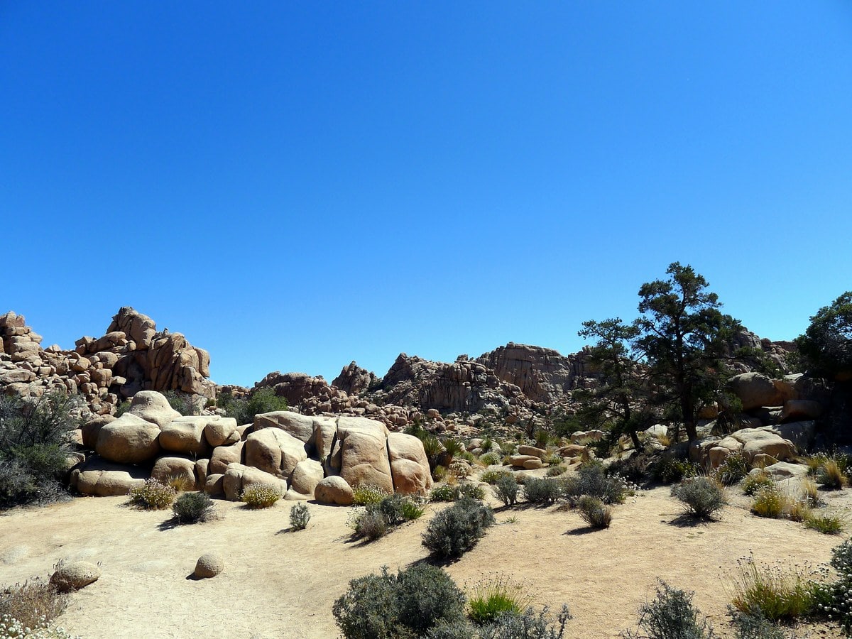 Looking back from the Hidden Valley Loop Hike in Joshua Tree National Park, California