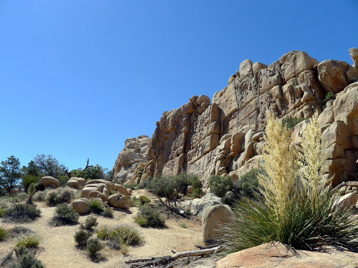 Crags of monzogranite rock from the Hidden Valley Loop Hike in Joshua Tree National Park, California