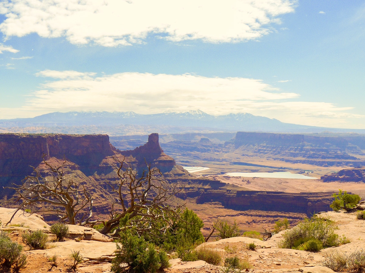 Dead Horse Point Loop hike near Moab has beautiful views of La Sal Mountains