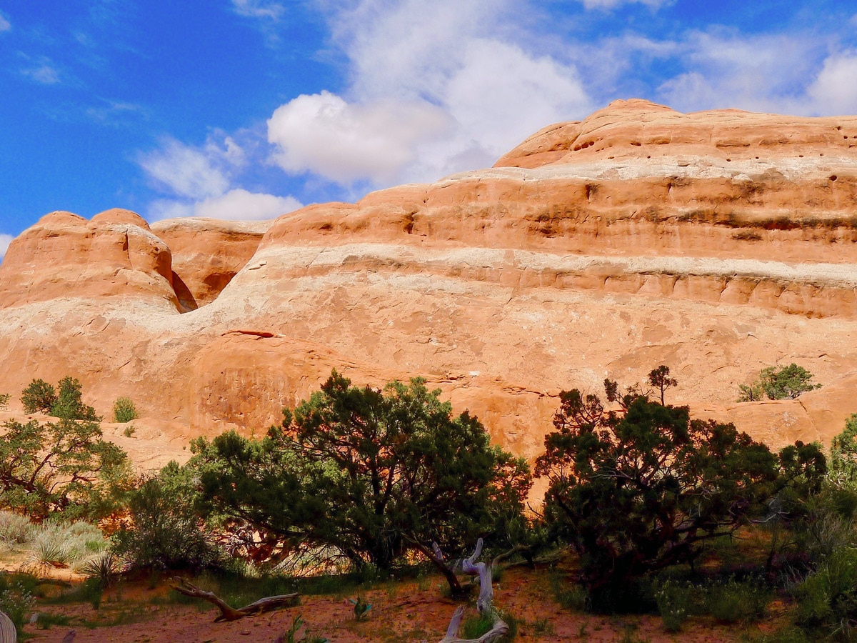 Devil's Garden hike in Arches National Park is surrounded by beautiful rock formations