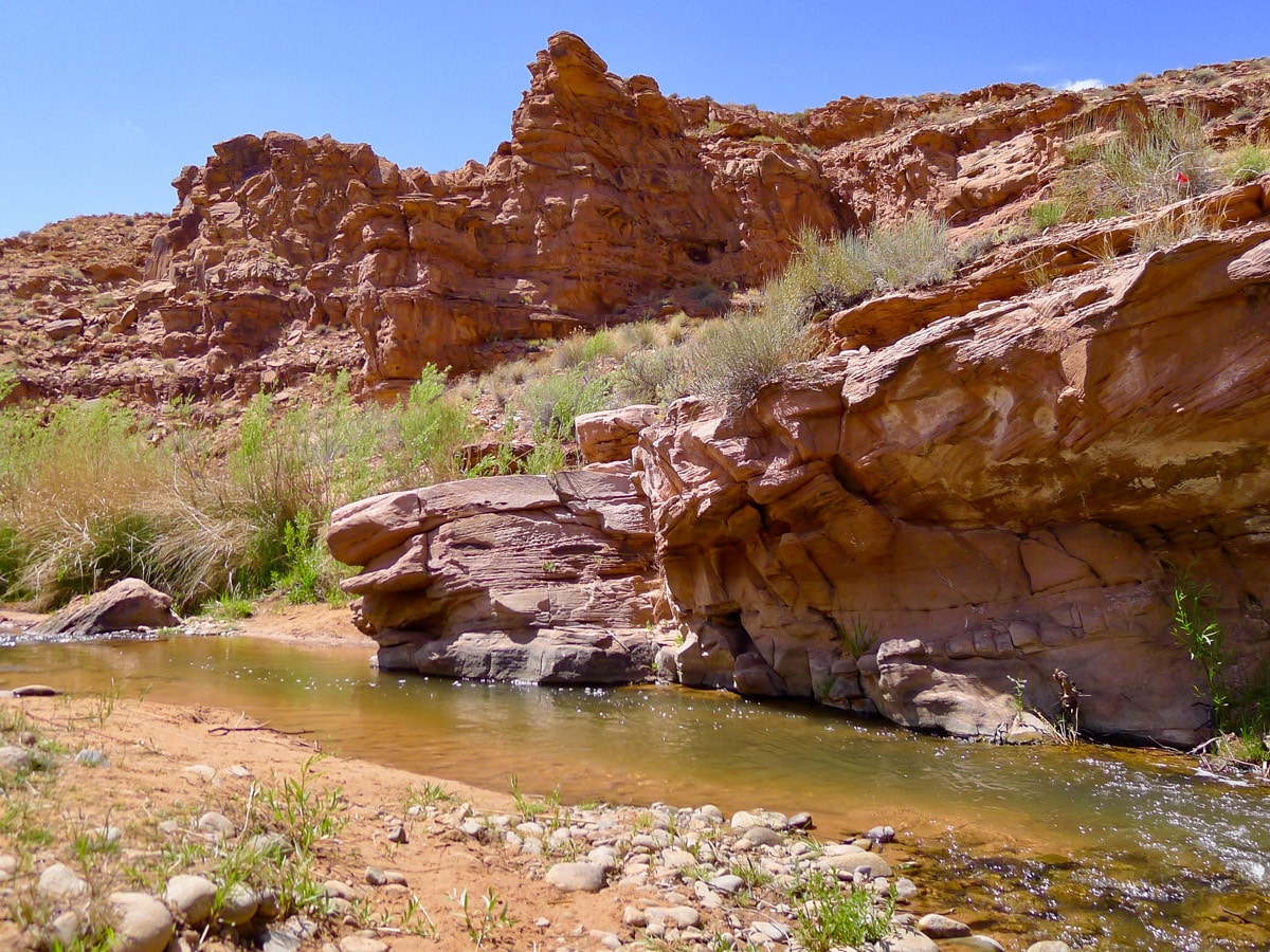 Creek on Mill Creek hike near Moab, Utah