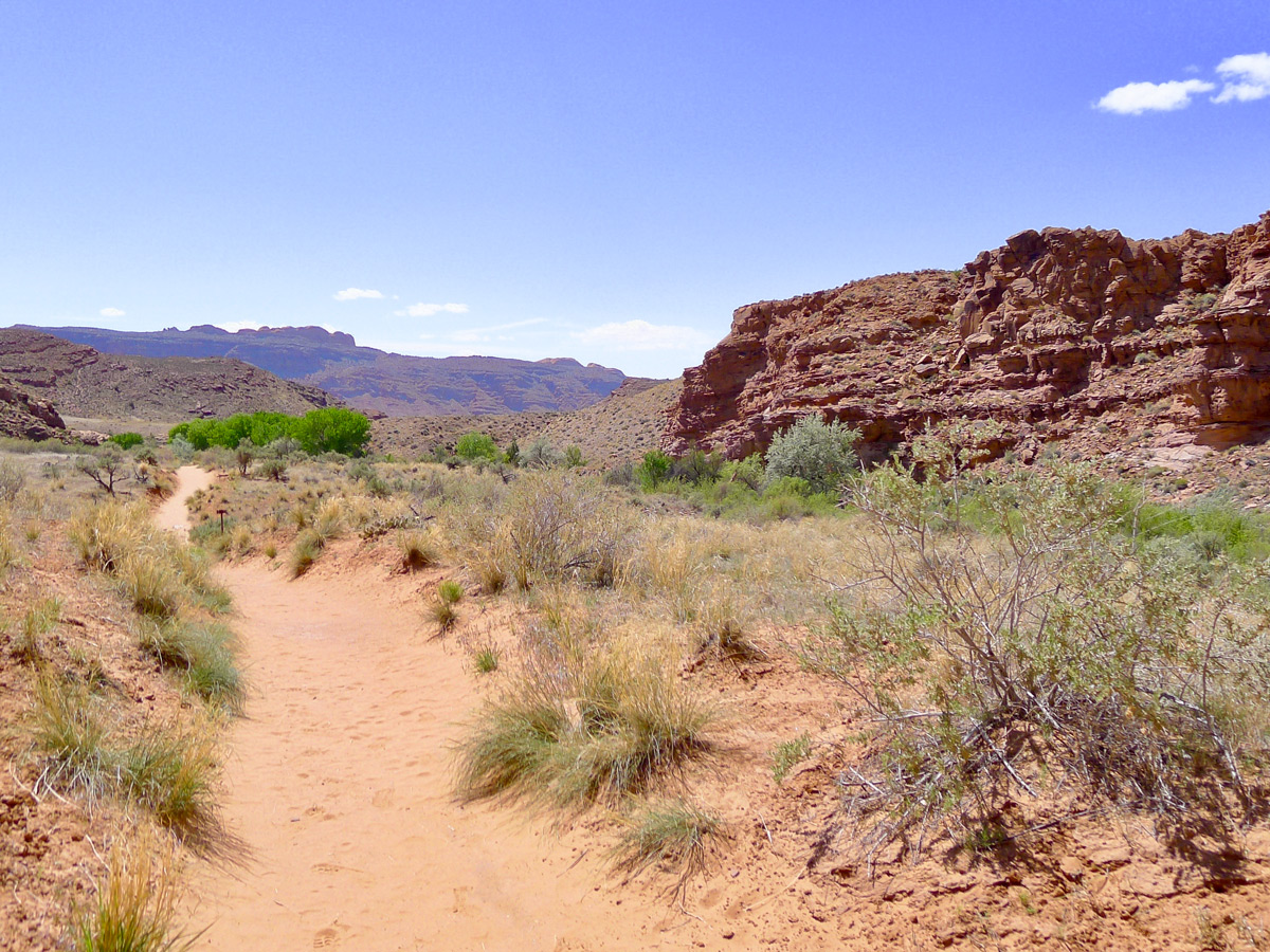 Mill Creek hike in Moab is surrounded by beautiful landscapes