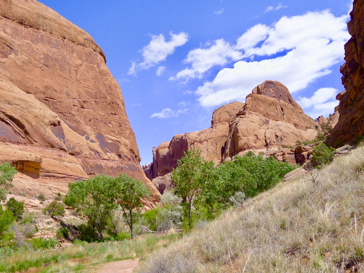 Entering the canyon on Mill Creek hike in Moab