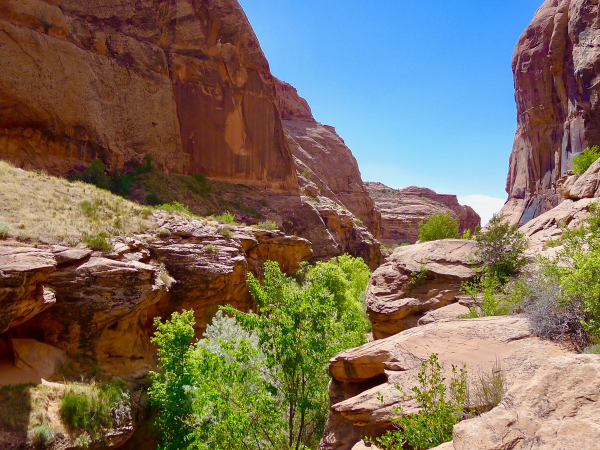 Mill Creek hike in Moab is located in beautiful canyon