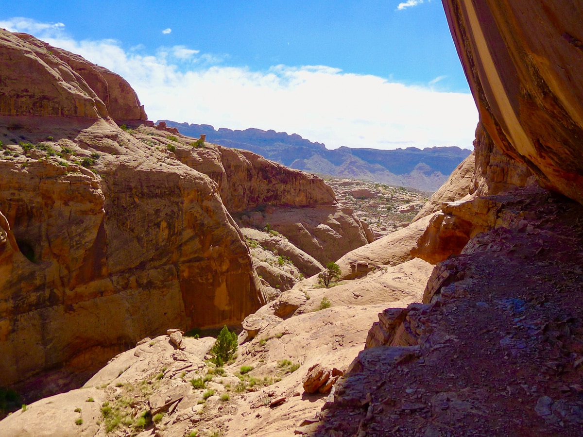 View from scrambly part of Mill Creek hike in Moab