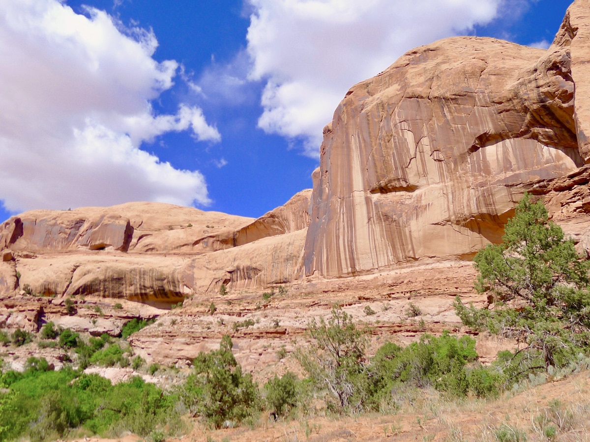 Grandstaff Trail hike in Moab has beautiful canyon views