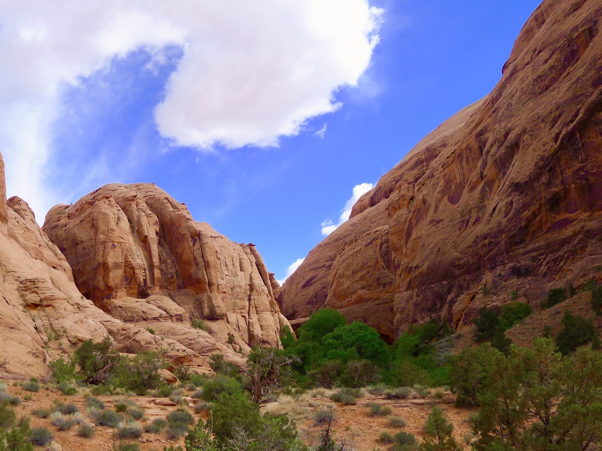 Grandstaff Trail hike in Moab is surrounded by beautiful scenery