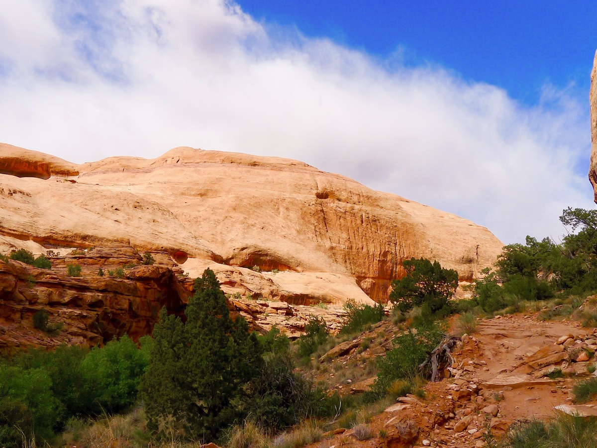 Slick Rock on Grandstaff Trail hike in Moab, Utah