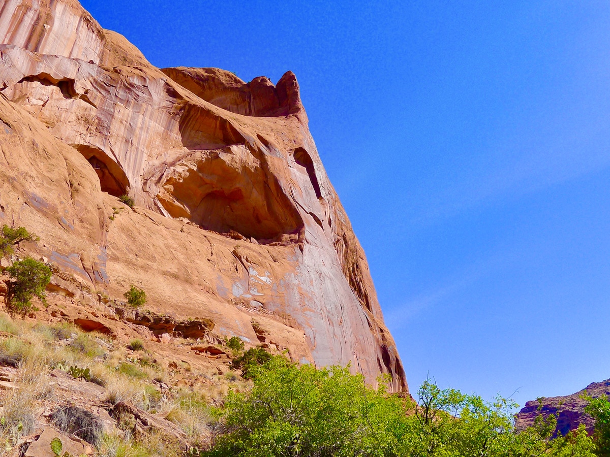 Trail views on Dead Horse Point Loop hike near Moab, Utah