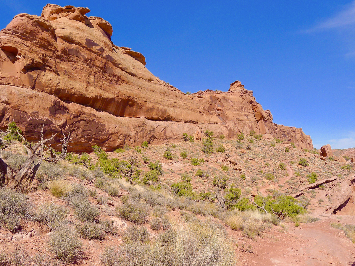 Trail of Dead Horse Point Loop hike near Moab leads along the ridge