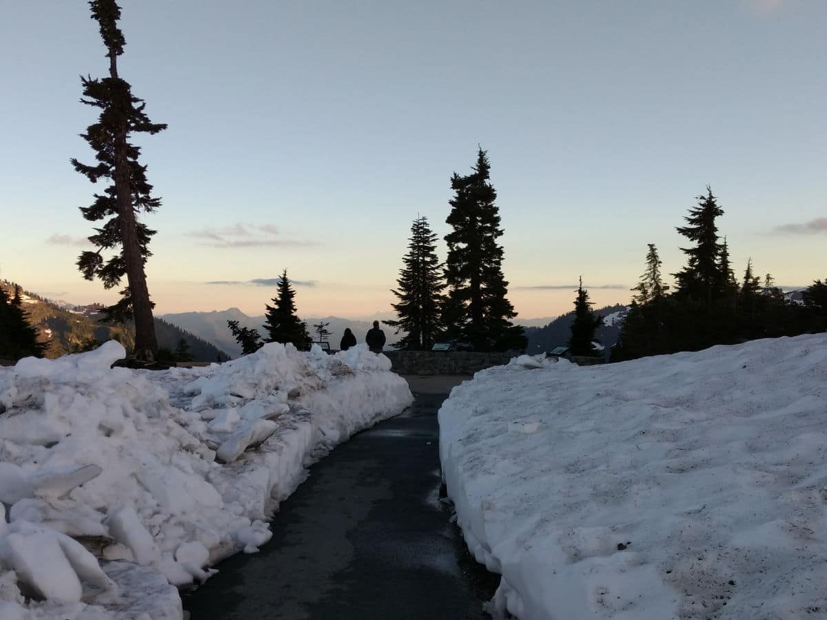 Snow at the beginning of the trail on the Artist Ridge hike near Mt Baker, Washington