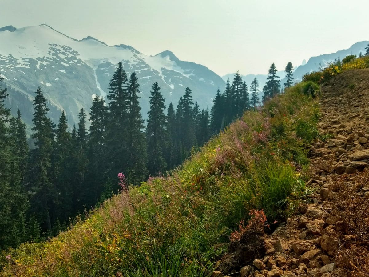 Ruth Mountain and wildflowers on the Hannegan Pass and Peak Hike near Mt Baker, Washington