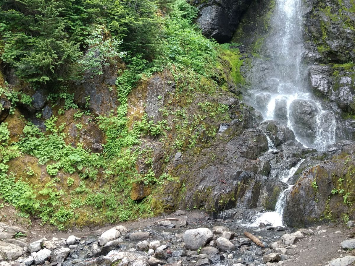 Small waterfall on the Heliotrope Ridge Hike in Mt Baker, Washington